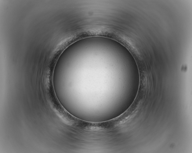 X0000091660590200709061022