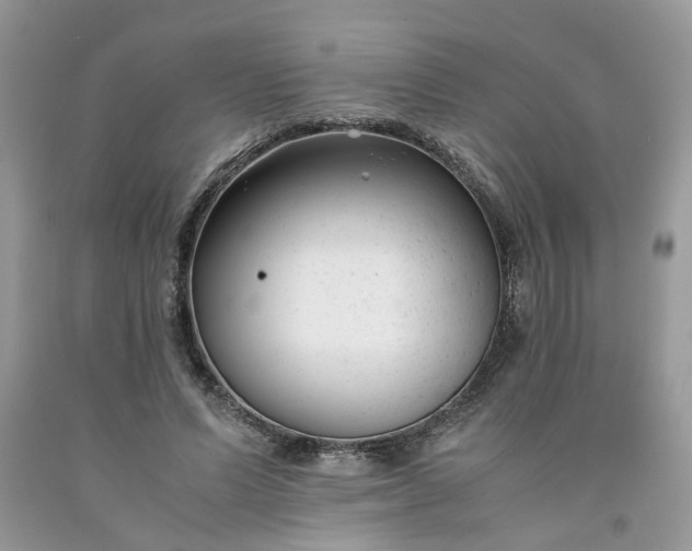 X0000091660591200709061022