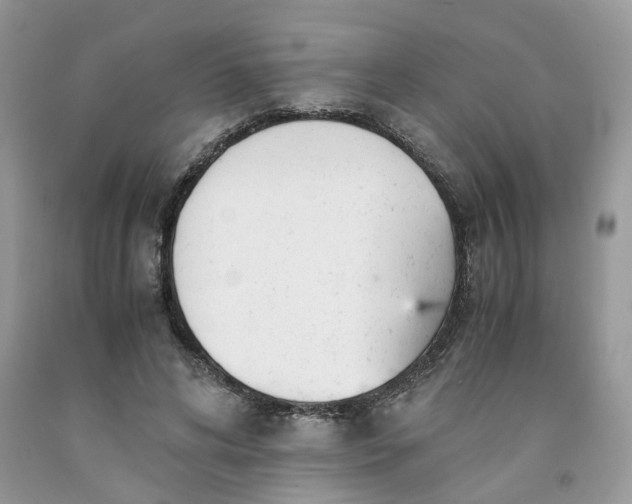 X0000091660592200709061022