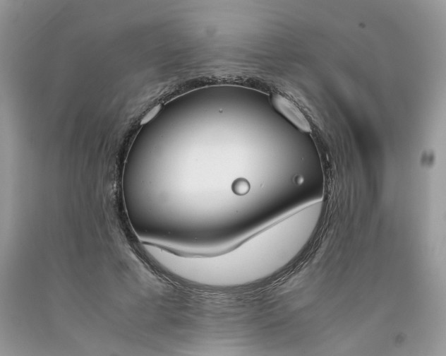 X0000091660593200709061022