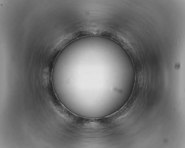 X0000091660594200709061022