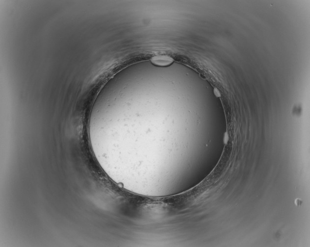 X0000091660595200709061022