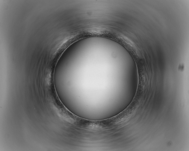 X0000091660596200709061022