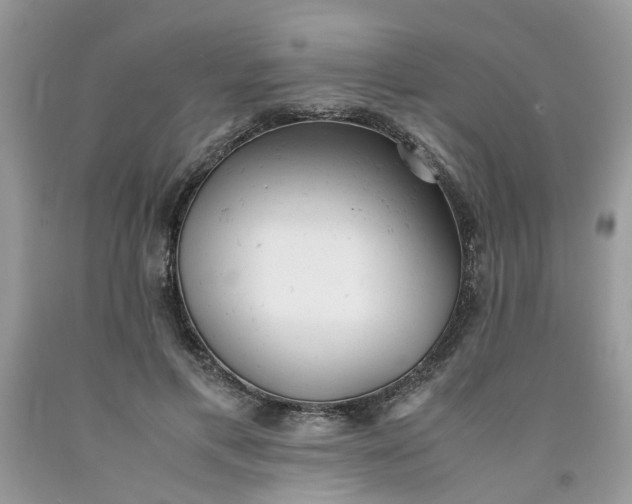 X0000091660597200709061022