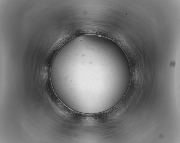 X0000091660598200709061022