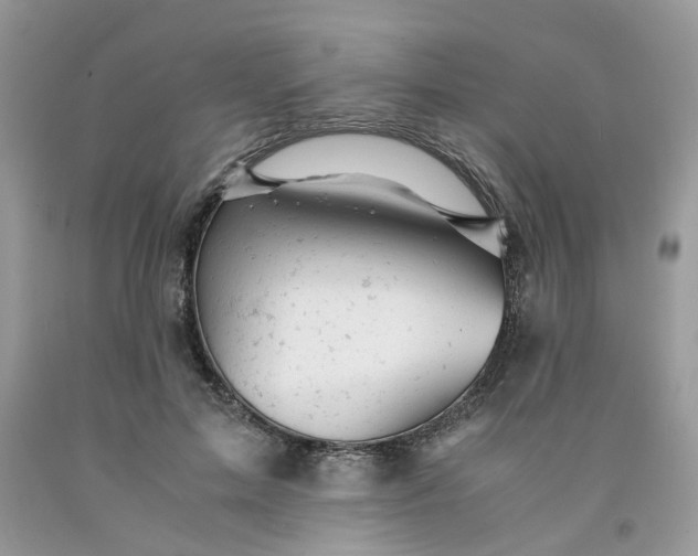 X0000091660599200709061022