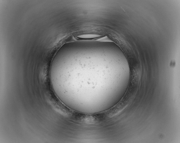 X0000091660600200709061022