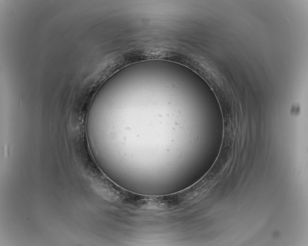 X0000091660601200709061022