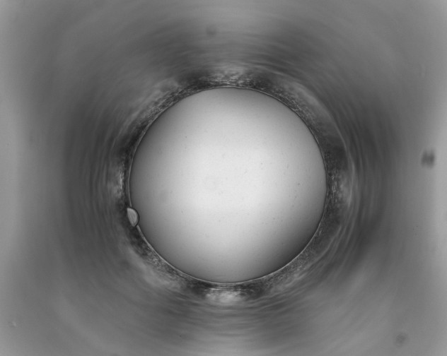 X0000091660602200709061022