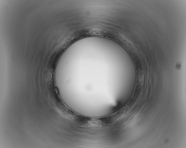 X0000091660603200709061022