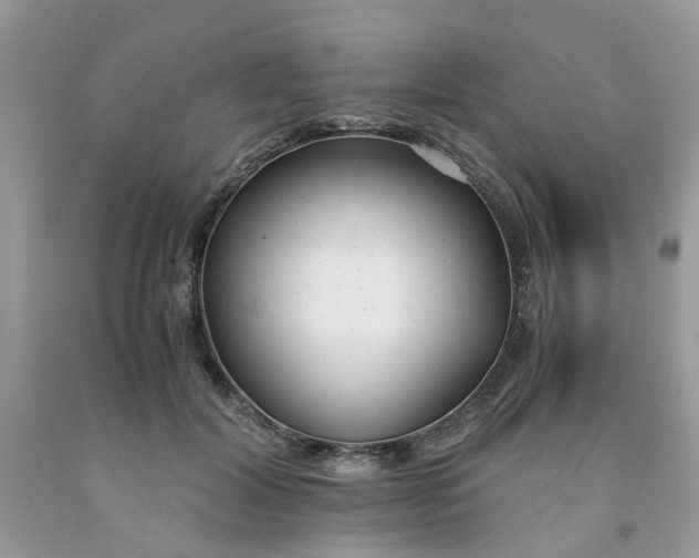 X0000091660604200709061022