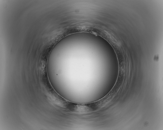 X0000091660605200709061022