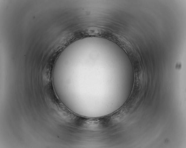 X0000091660606200709061022