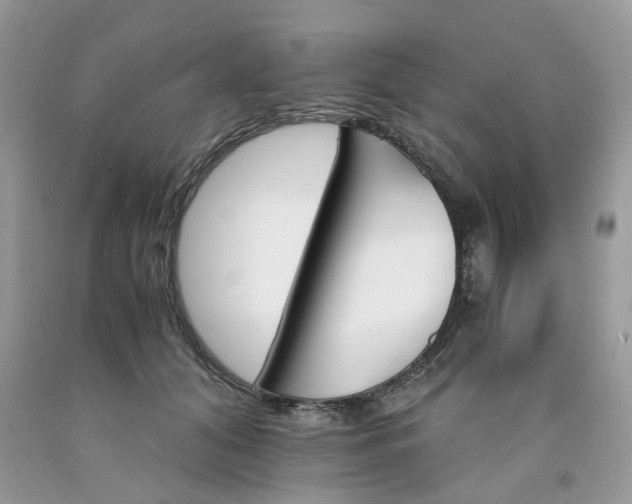 X0000091660608200709061022