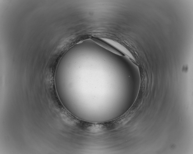 X0000091660609200709061022