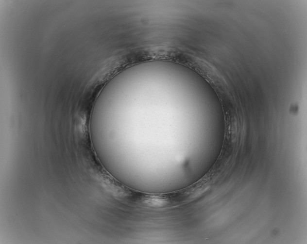 X0000091660610200709061022