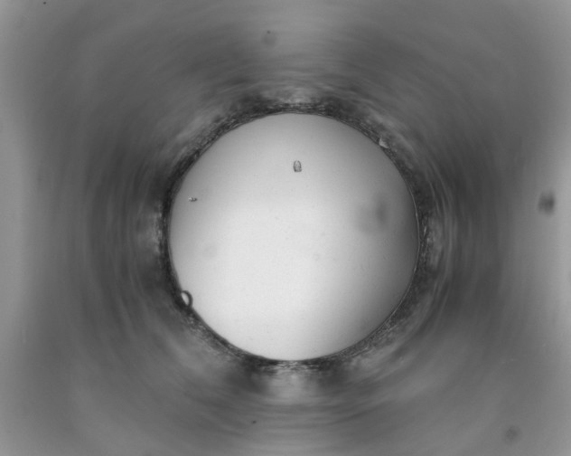 X0000091660612200709061022