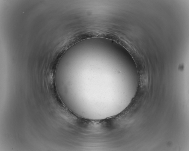 X0000091660613200709061022