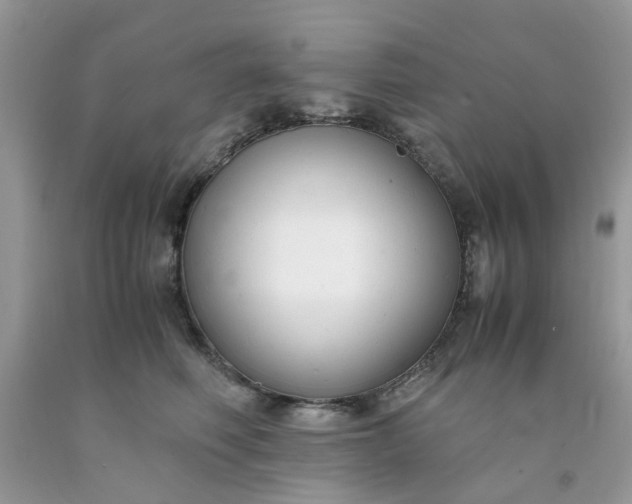 X0000091660614200709061022