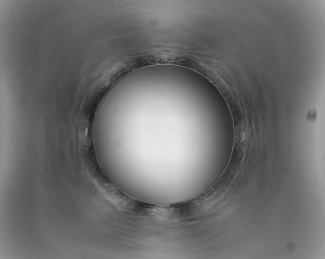 X0000091660615200709061022