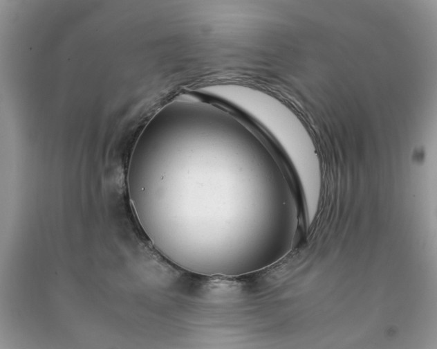 X0000091660617200709061022