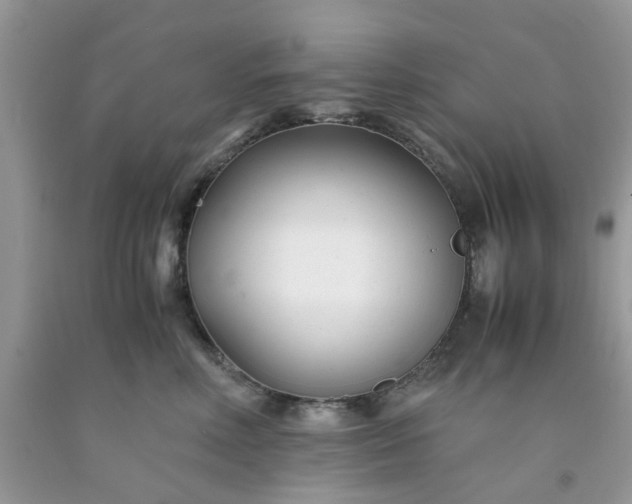 X0000091660618200709061022