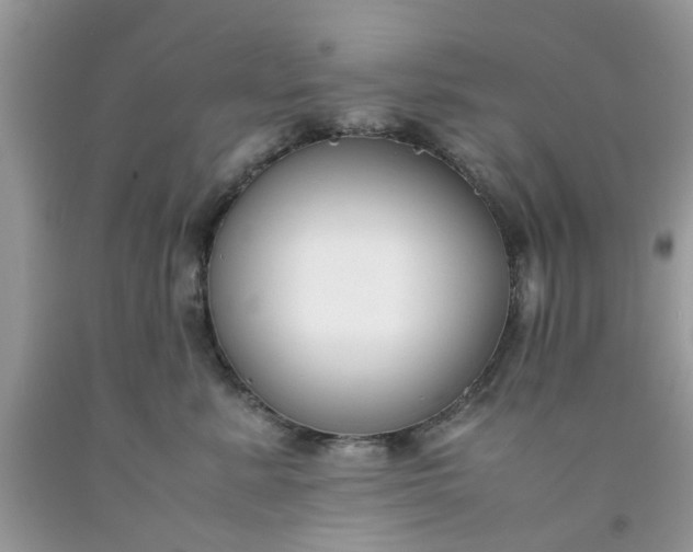 X0000091660619200709061022