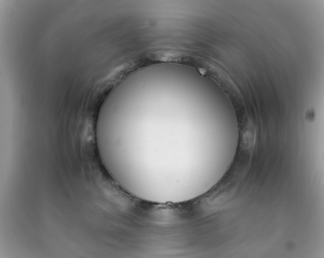 X0000091660620200709061022