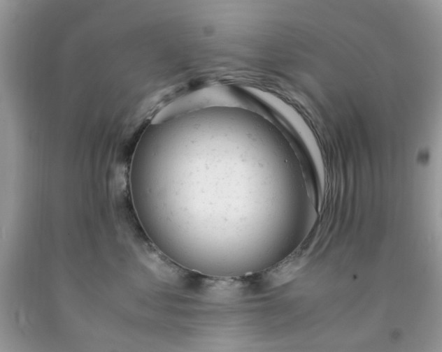 X0000091660621200709061022