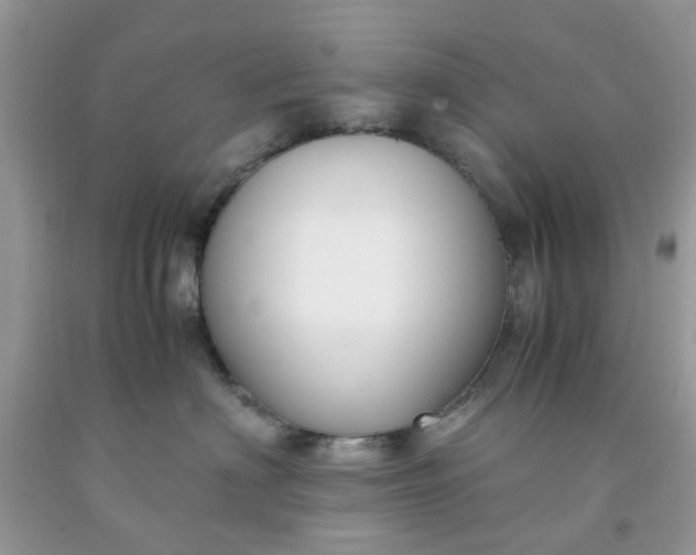 X0000091660622200709061022