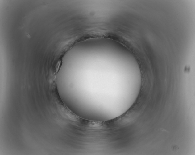 X0000091660624200709061022