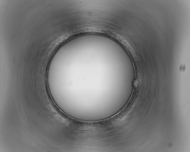 X0000091660625200709061021