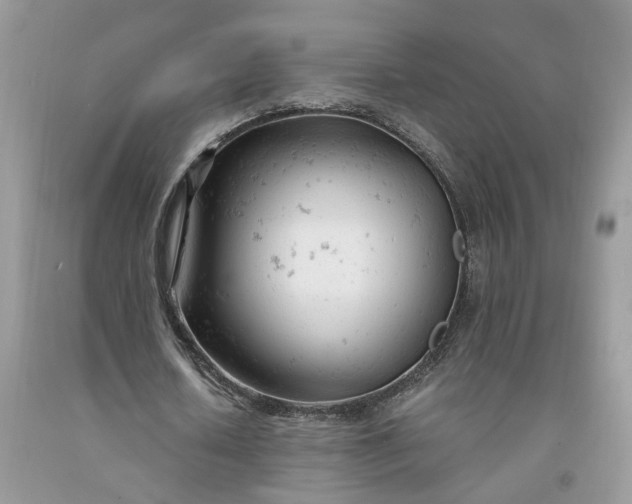 X0000091660626200709061021