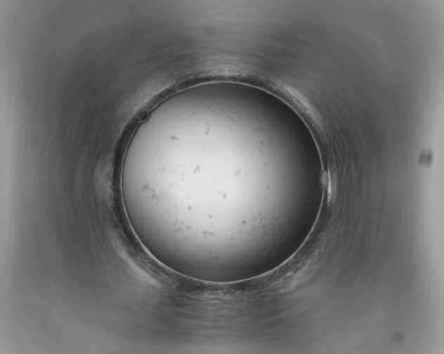 X0000091660627200709061021