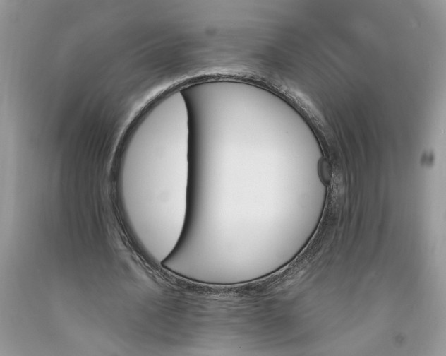 X0000091660628200709061021