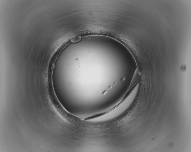 X0000091660630200709061021