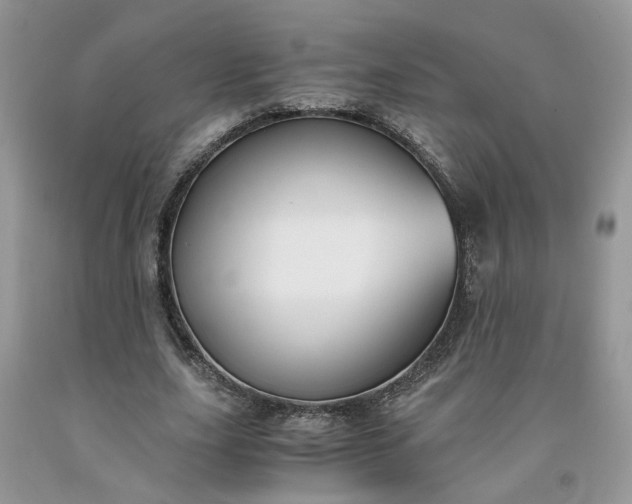 X0000091660631200709061021