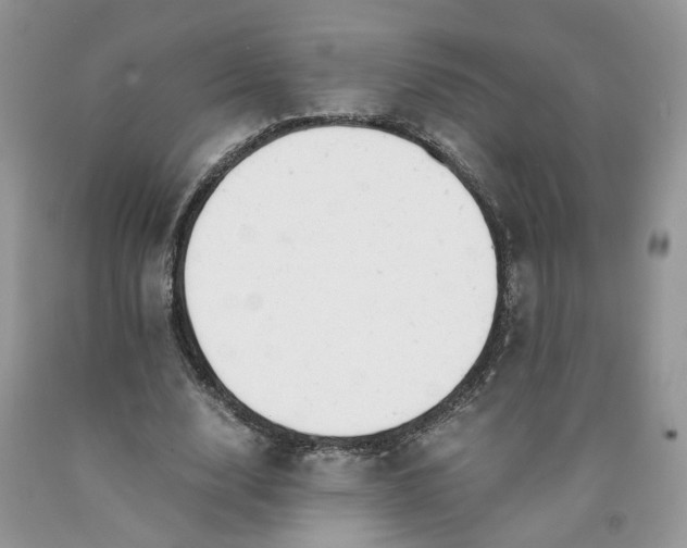 X0000091660632200709061021