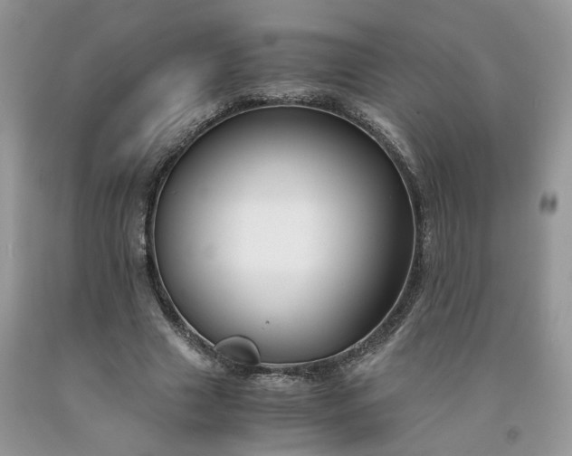 X0000091660633200709061021