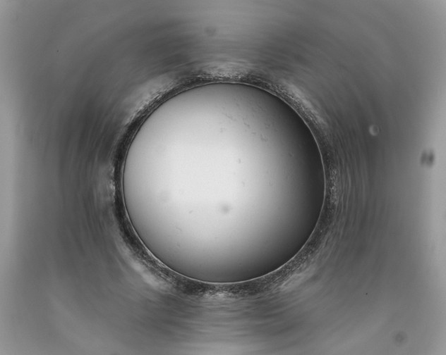 X0000091660634200709061021