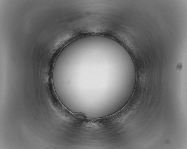 X0000091660635200709061021