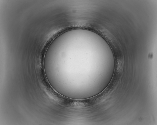 X0000091660636200709061021