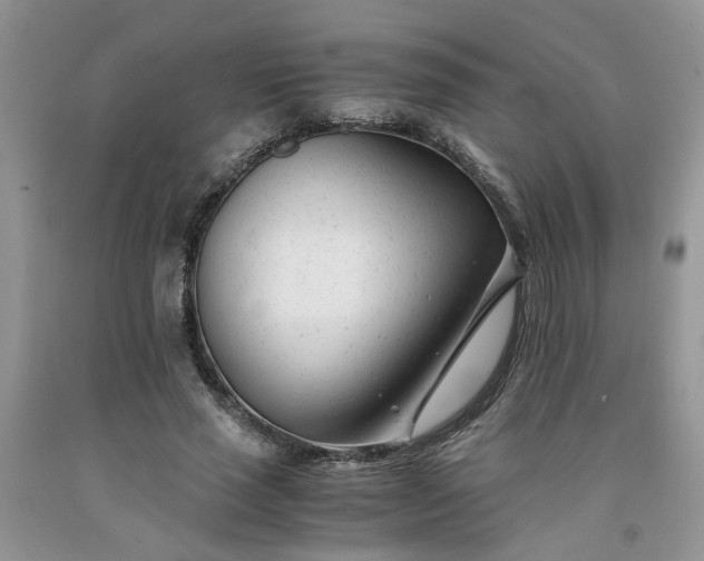 X0000091660637200709061021