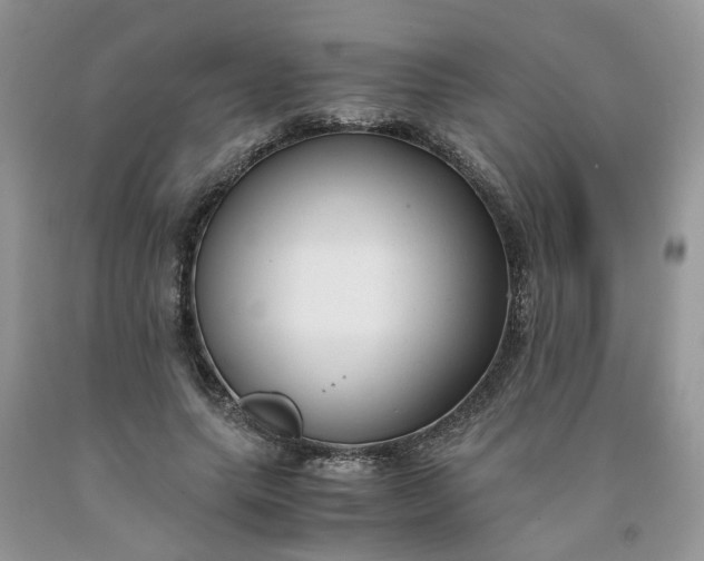 X0000091660639200709061021