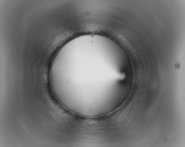 X0000091660640200709061021