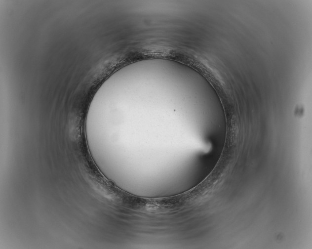 X0000091660641200709061021