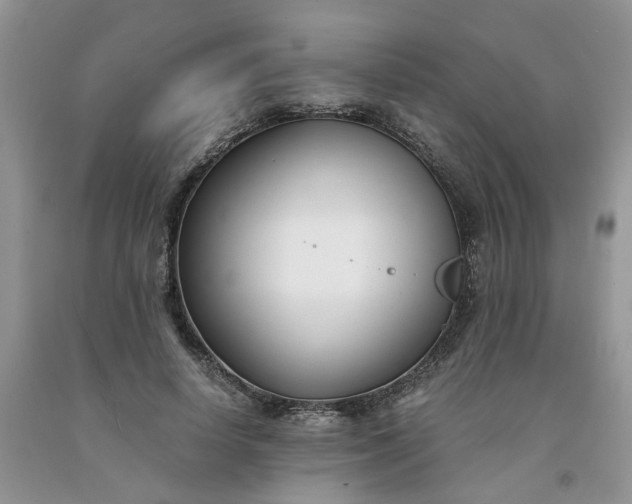 X0000091660642200709061021