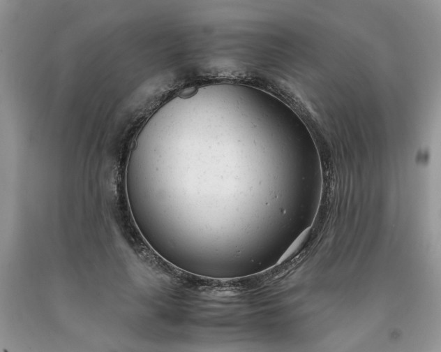 X0000091660643200709061021