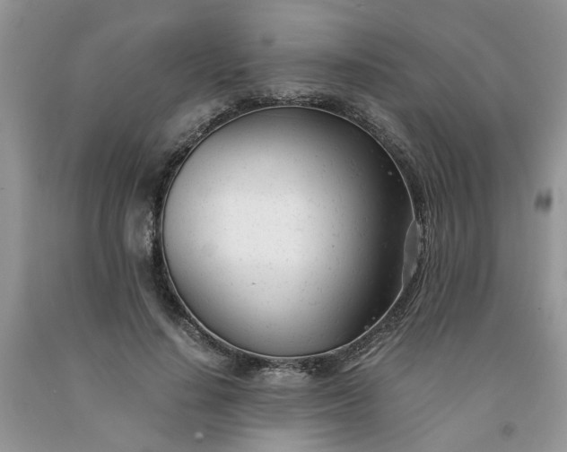 X0000091660644200709061021