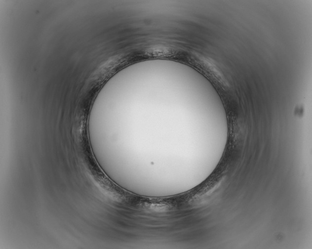 X0000091660645200709061021